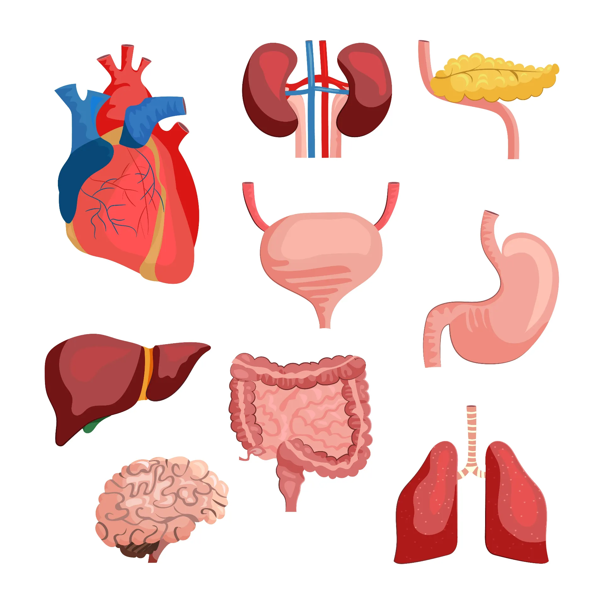 Consultații medicale de specialitate la Euromed Ploiești